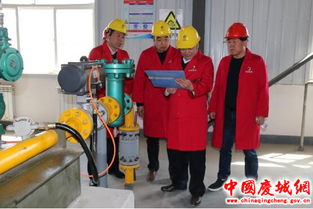 市应急管理局督查组督查庆城县危险化学品 化工 行业安全生产专项工作
